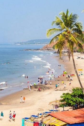 Candolim Beach Image